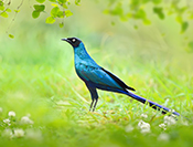 Sue Hsu's photo
